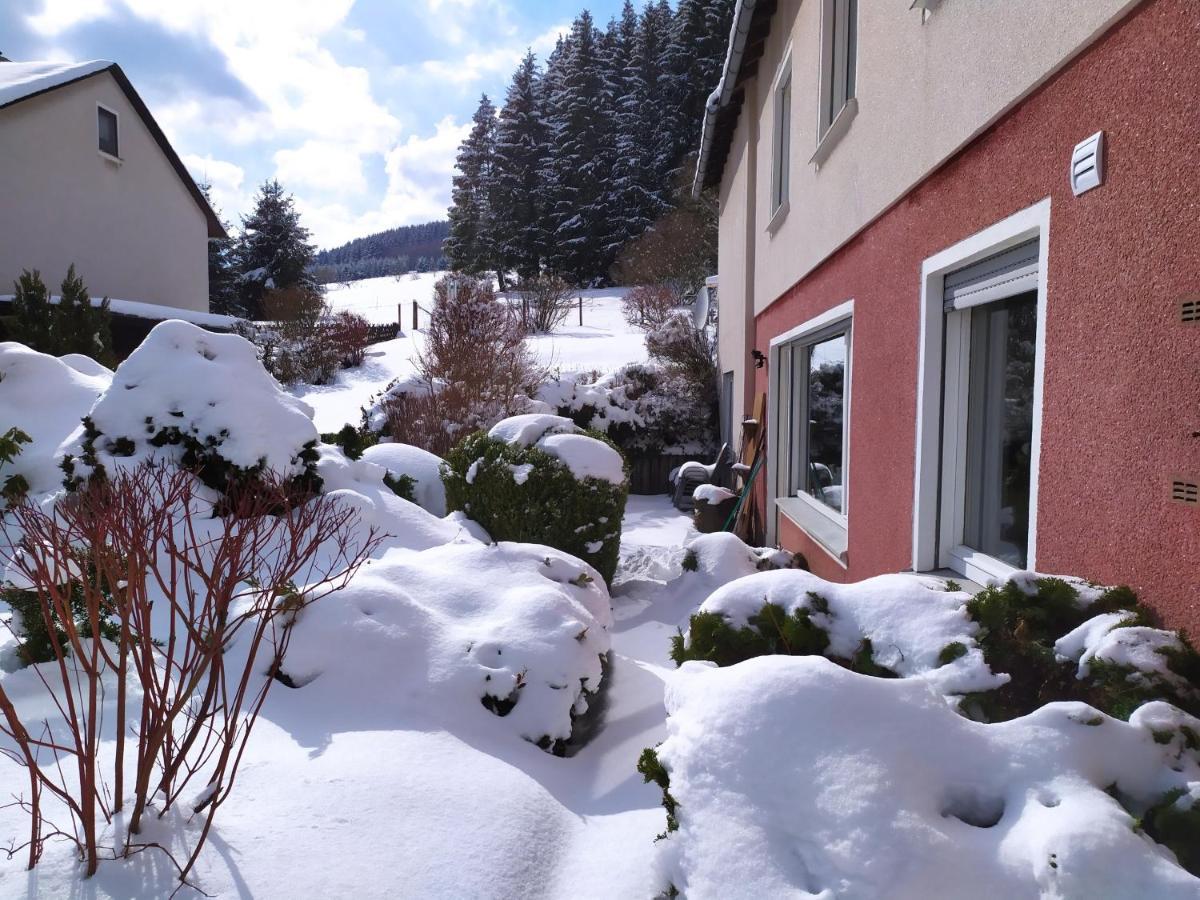 Ferienwohnung Eschenberg Winterberg Zewnętrze zdjęcie